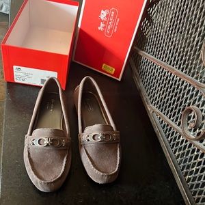 Coach fortunate suede loafers nwt